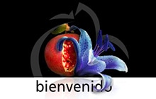 NEITMEDIA. Diseño Web ∞ Aplicaciones a medida