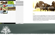 NEITMEDIA. Diseño Web ∞ Aplicaciones a medida