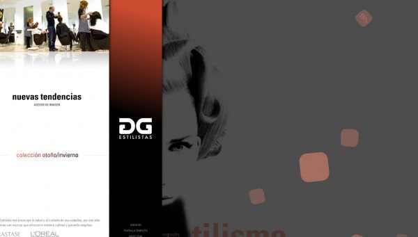 DG Estilistas. NEITMEDIA